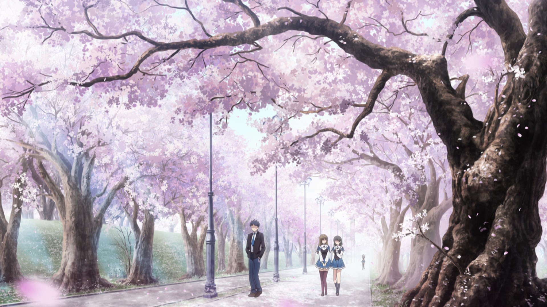 Аллея с деревьями аниме