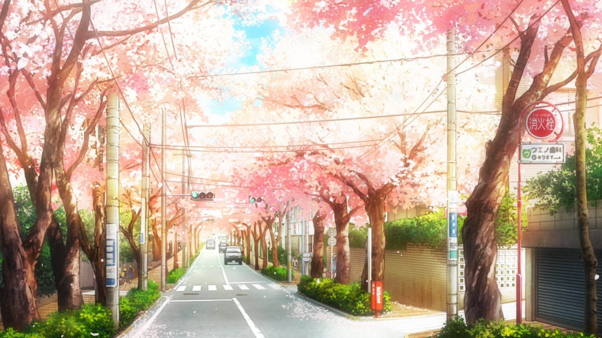 Весенняя улица аниме